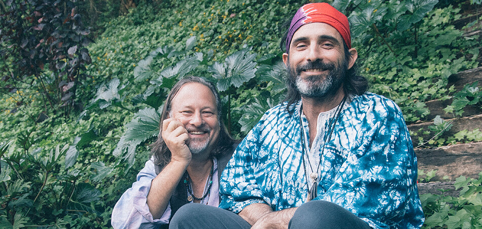 Two Men in Beards, Looking at a Camera