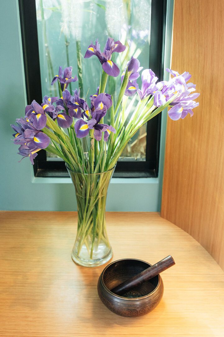 Irises-2846